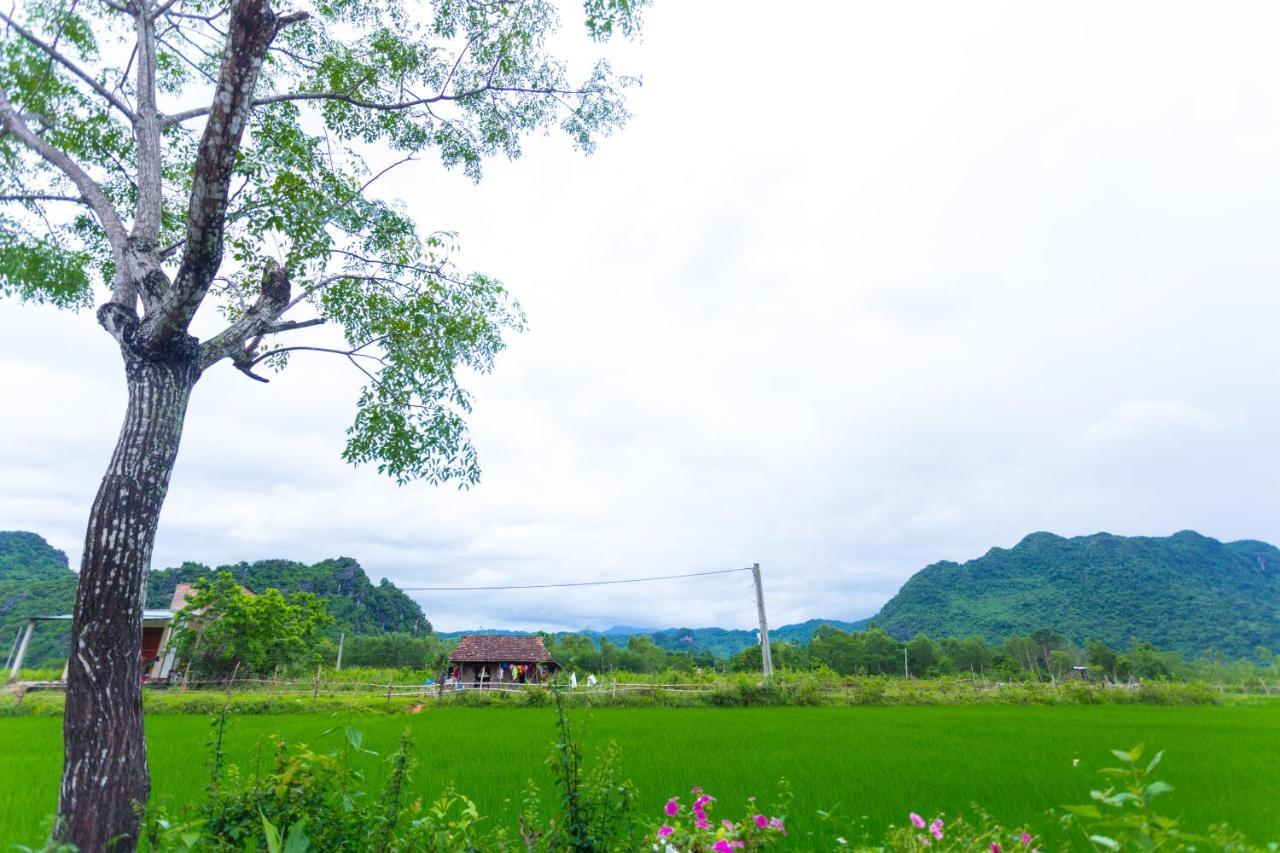 Pomelo Homestay Phong Nha Luaran gambar