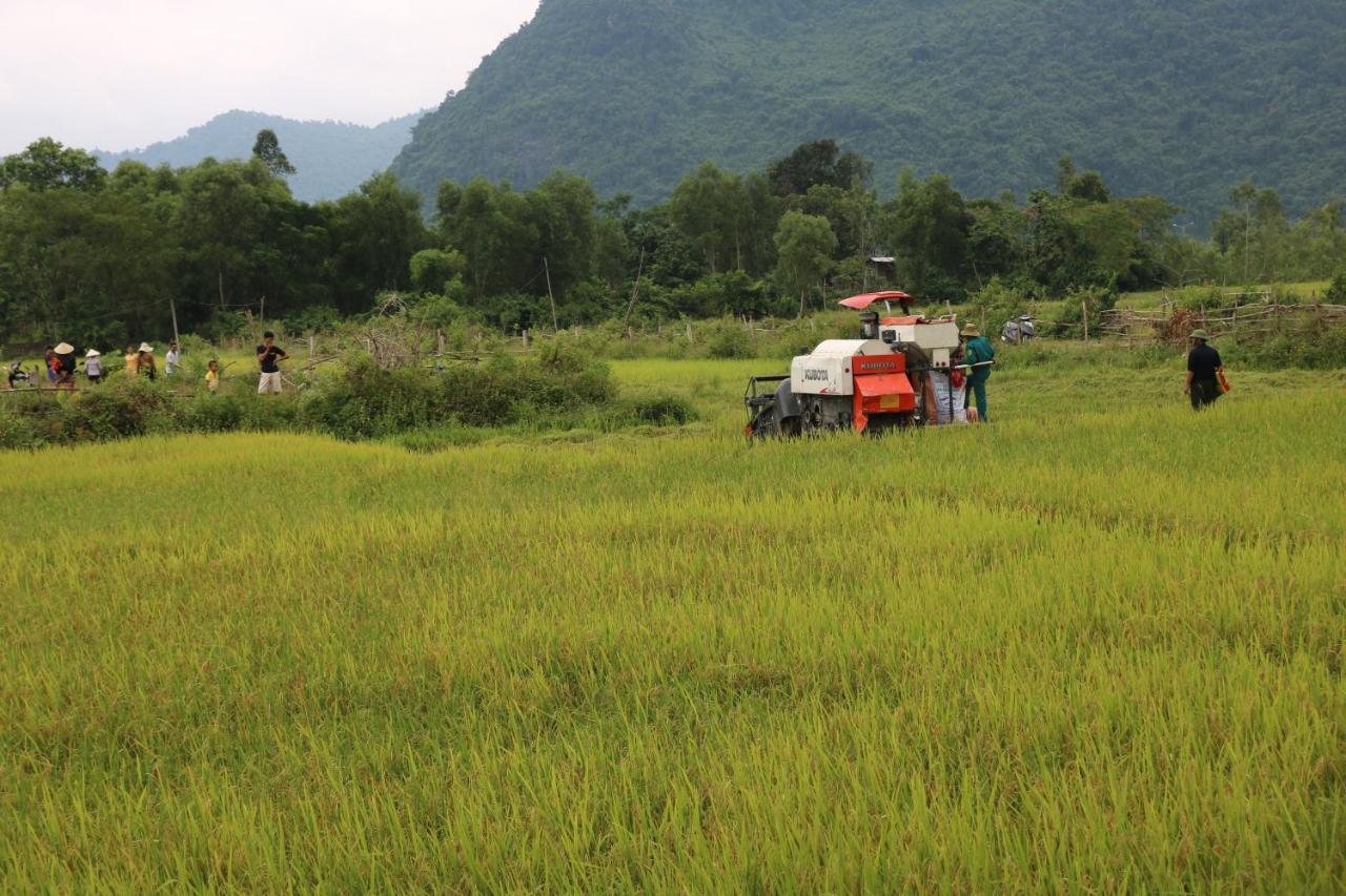 Pomelo Homestay Phong Nha Luaran gambar
